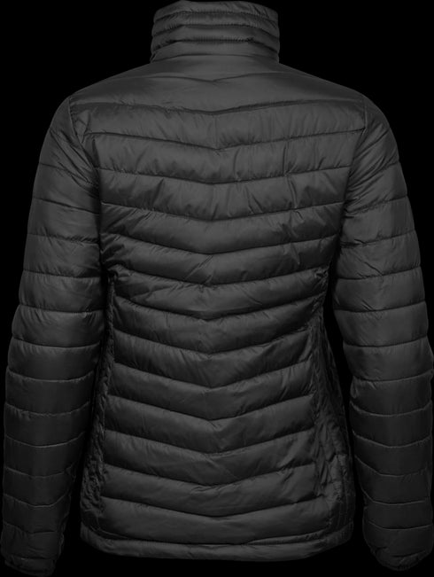 Women's Zepelin Jacket
